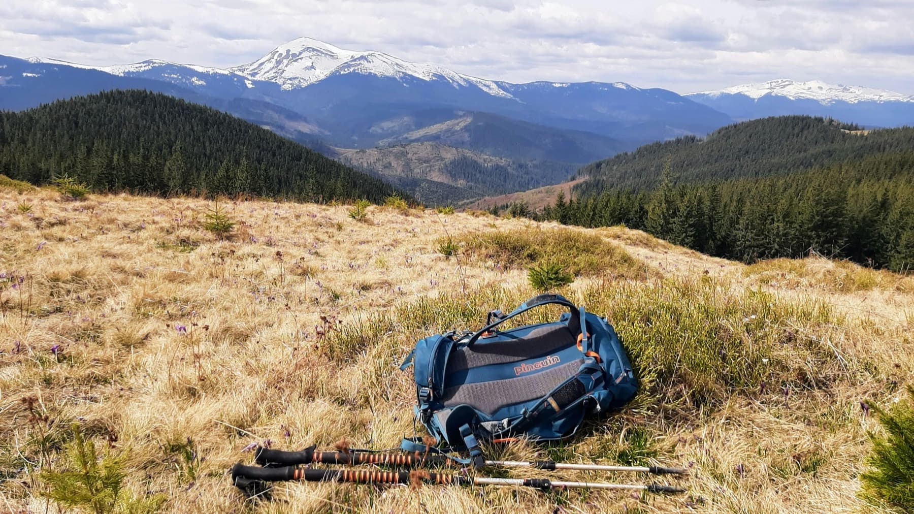 Daypack staged on a Front Range valley trail.