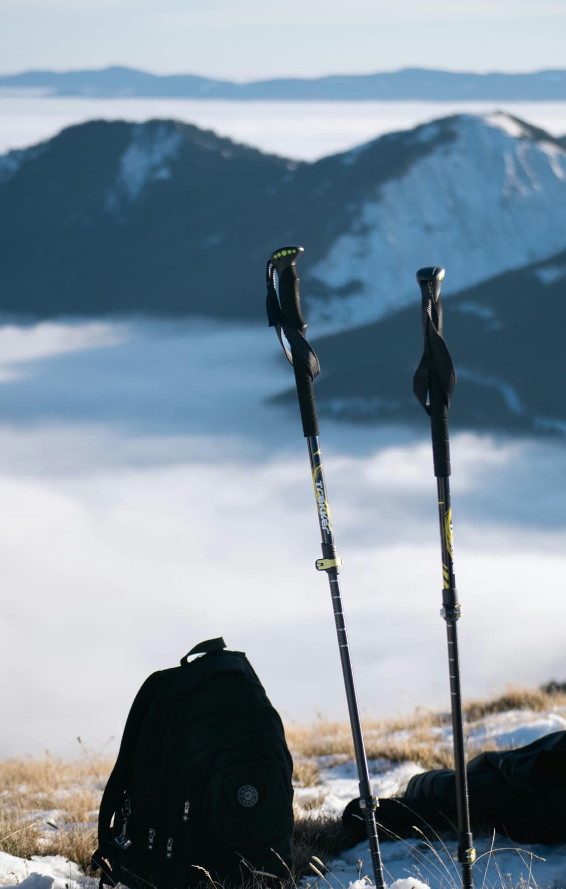 Trekking poles against a forest treeline.